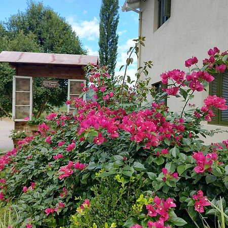 Hospedaria Bom Pastor Nova Petropolis Exteriör bild